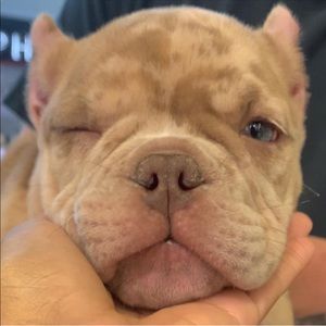 Meet your Posher, Tyler